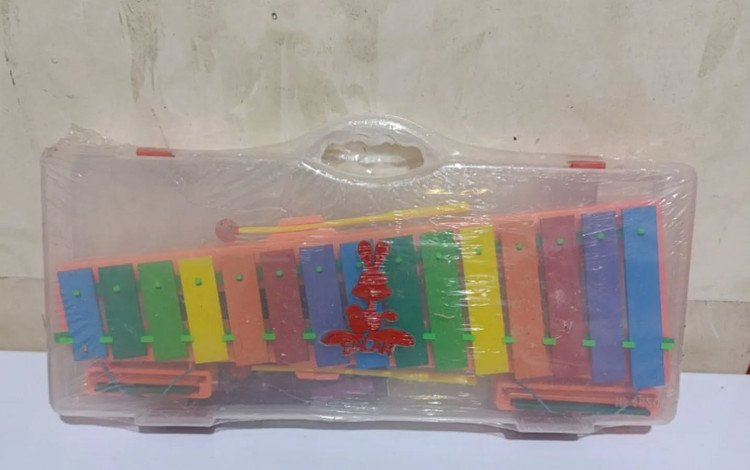 بلز سالار b19 کیس دار