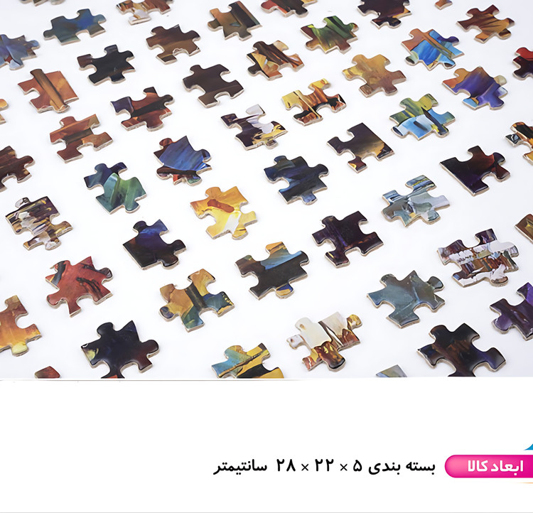 پازل ۱۰۰۰ تکه فنسی