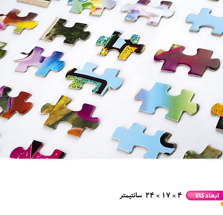 پازل ۳۰۰ تکه رینگ