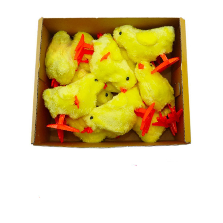جوجه کوکی