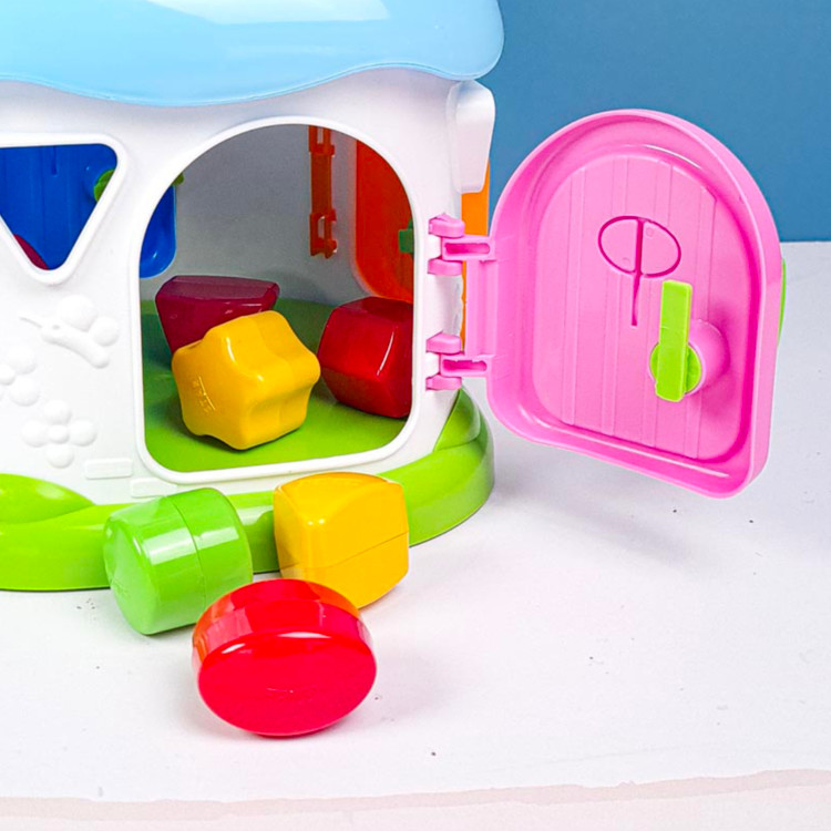 کلبه هوش و مهارت قارچی